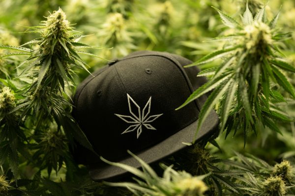 Cannabis Growing Tips