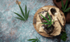 The Modern Wind-Down: Cannabis as an Evening Ritual