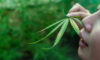Makes Anxiety Better or Worse? How Cannabis Affects Relaxation
