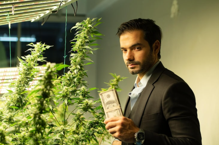 Cannabis investing
