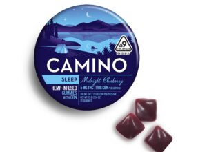 Camino