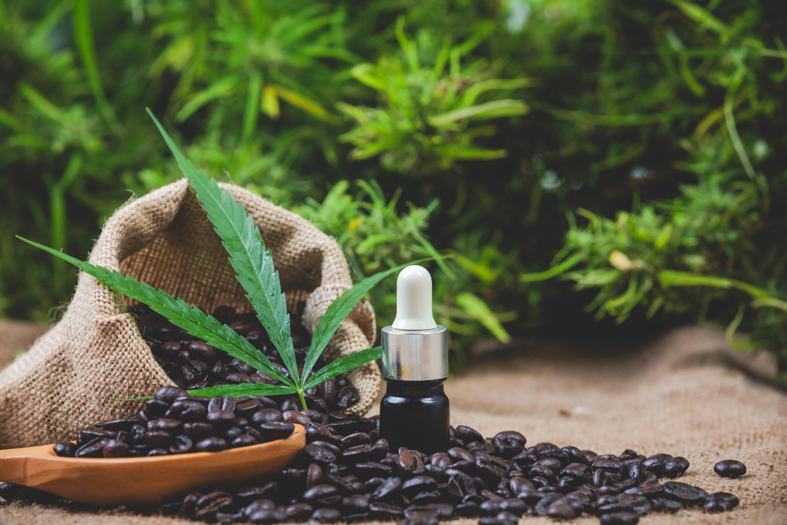 Clearer Federal Hemp